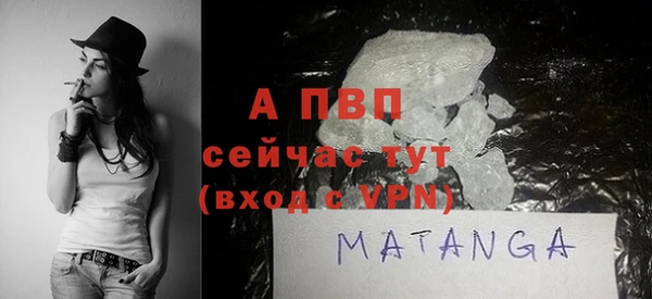 ПСИЛОЦИБИНОВЫЕ ГРИБЫ Вяземский