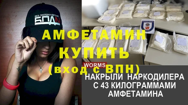 ПСИЛОЦИБИНОВЫЕ ГРИБЫ Вяземский