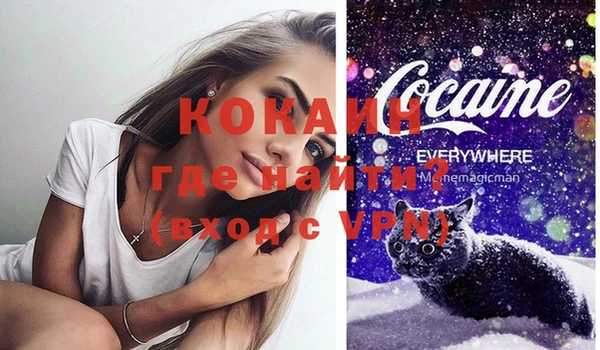 ПСИЛОЦИБИНОВЫЕ ГРИБЫ Вяземский