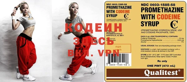 ПСИЛОЦИБИНОВЫЕ ГРИБЫ Вяземский