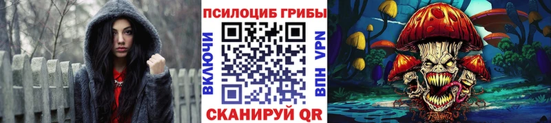 Купить  Кулебаки  Псилоцибиновые грибы Cubensis 